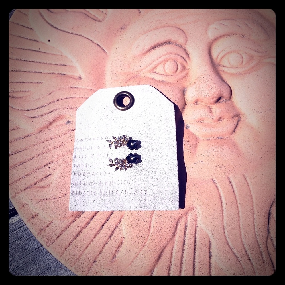 Anthropologie Climbing Earrings